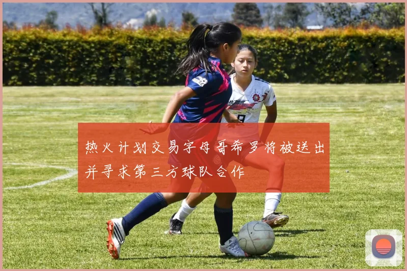热火计划交易字母哥希罗将被送出并寻求第三方球队合作