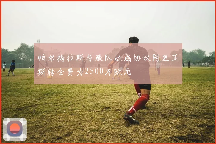 帕尔梅拉斯与狼队达成协议阿里亚斯转会费为2500万欧元