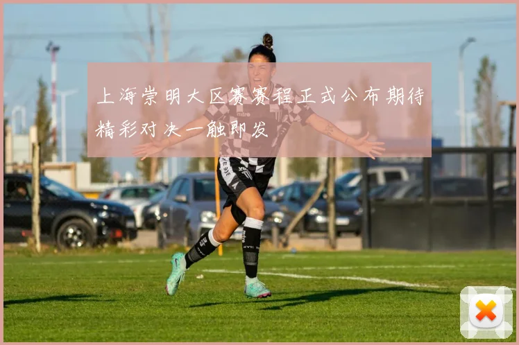 上海崇明大区赛赛程正式公布期待精彩对决一触即发